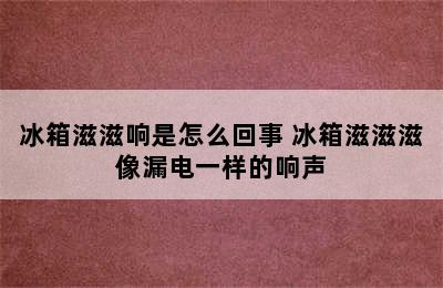 冰箱滋滋响是怎么回事 冰箱滋滋滋像漏电一样的响声